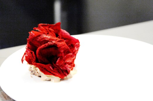 The amazing duck dish - shredded duck leg confit, hazelnuts and radiccio leaves dressed with apple balsamic vinegar and dusted with freeze-dried raspberry