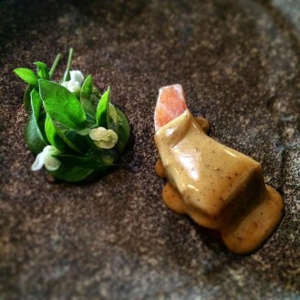 Salmon pastrami with fresh chopped beans, lemon basil, spiced emulsion, lemon gel and samphire